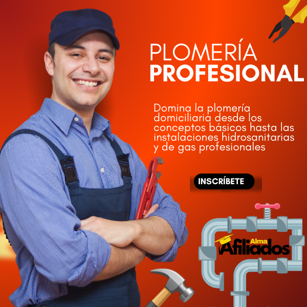 Plomeria Profesional