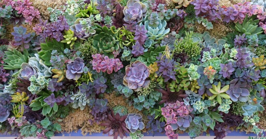 3 Cursos en 1 Jardín Vertical Cuadros Vivos Huertas