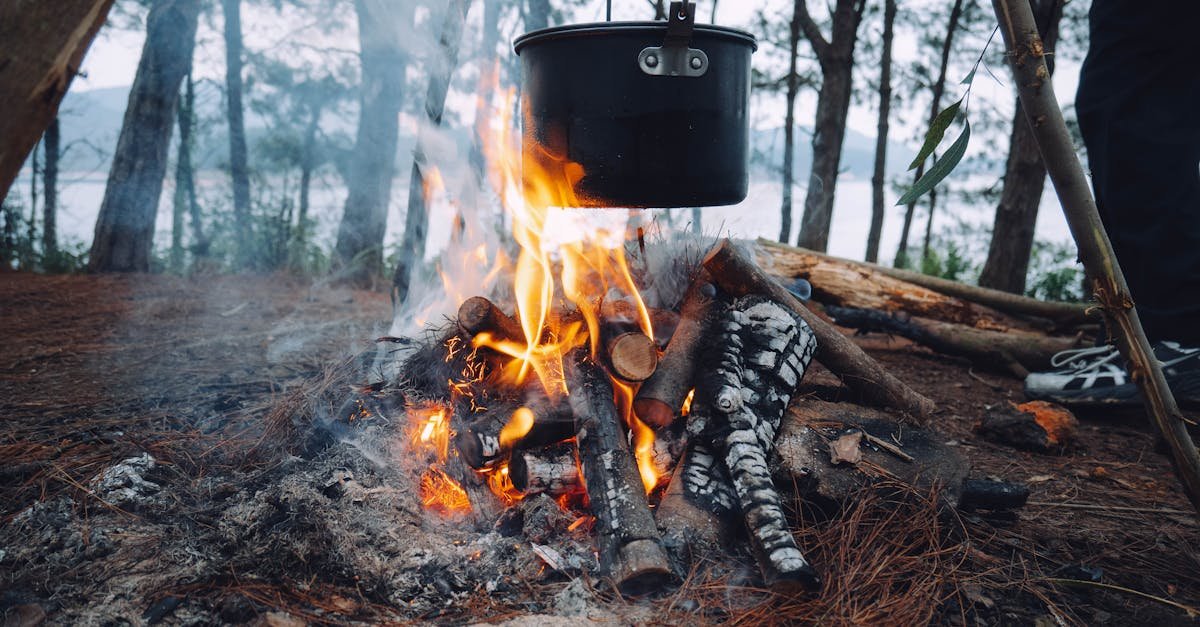 A pot hanging over a campfire in a serene forest, perfect for outdoor adventure enthusiasts.